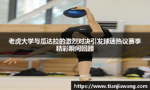 球王会体育官方网