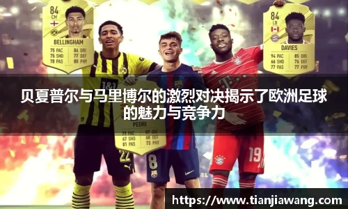 球王会体育